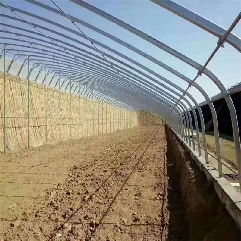 বিফ ক্যাটেল ব্রিডিং শেড