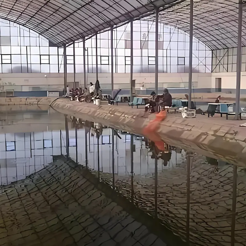 মাছ ধরা এবং অবসর শেড