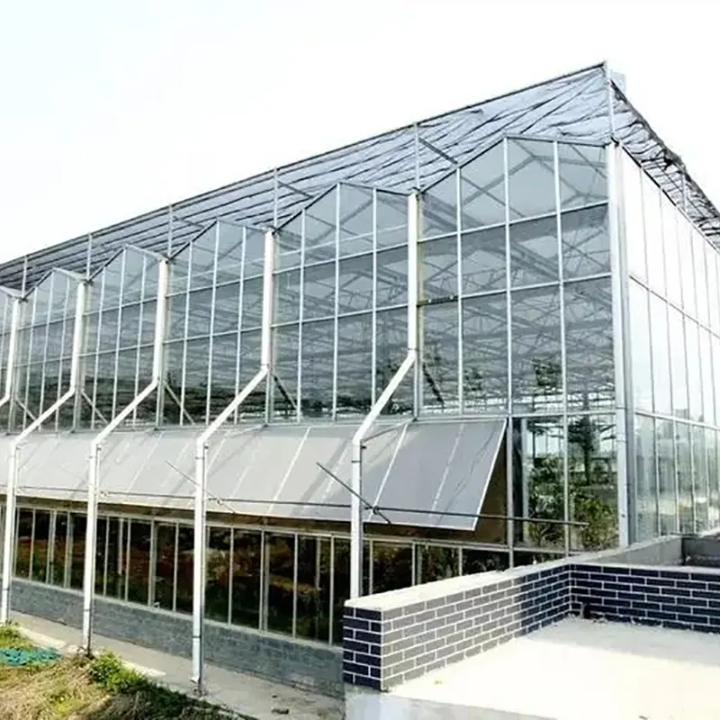 স্কাইলাইট সহ সাউটুথ-টাইপ মাল্টি-স্প্যান গ্রিনহাউস